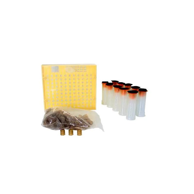 Starter-Set zur Behandlung von Bienen Königin Avalon KTA-01 - Vente Flash Amazon -67%