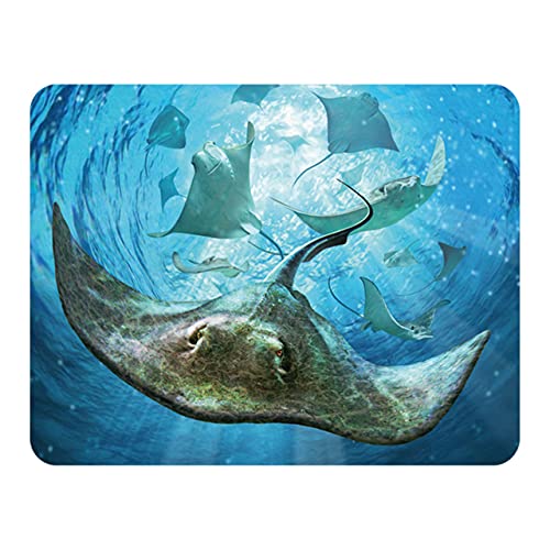 3D LiveLife Imán - Mantarrayas de Deluxebase. Imán de... - Jouets & Jeux Amazon Espagne à 2.31€