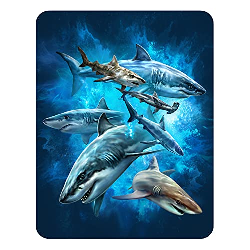 3D LiveLife Imán - Nado con Tiburones de Deluxebase. Imán... - Jouets & Jeux Amazon Espagne à 2.52€