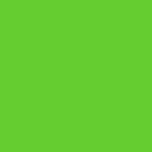 plottiX Perm Film vinyle Vert clair 31,5 cm x 1 m en promo à 5,03€ (-60%) sur Amazon FR