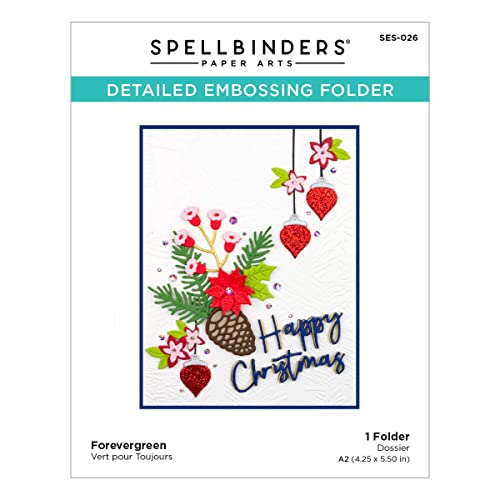 Spellbinders 660667 Embossing Folder Prägeschablone –... - Maison & Cuisine en promo à 8.56€