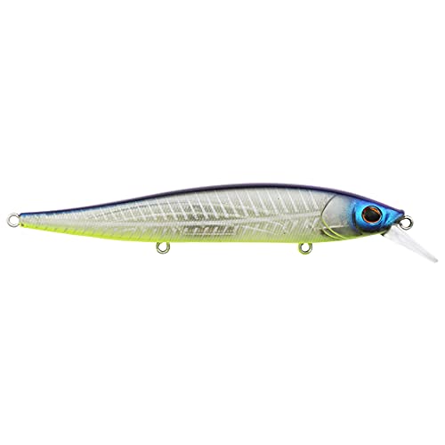 Berkley Stunna Fishing Hartköder, Shad Filet, 112 mm – 1/2... - Amazon Allemagne à 6.25€