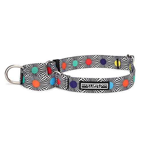Lucky Love Dog, Collier Martingale réglable de Style... - Maison & Cuisine Amazon France à 14.66€
