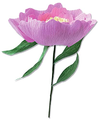 Sizzix Thinlits Flower Making Collection Die Set 5PK, Wild... - Deal du jour à 5.50€