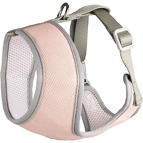 Flamingo Pet Products - Harnais Small Dog Rose M, Cou 35 cm... - Animalerie Amazon France à 9.98€