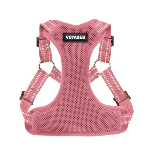 Voyager Pettorina per Cani Regolabile con Strisce... - Animalerie Amazon Italie à 12.57€