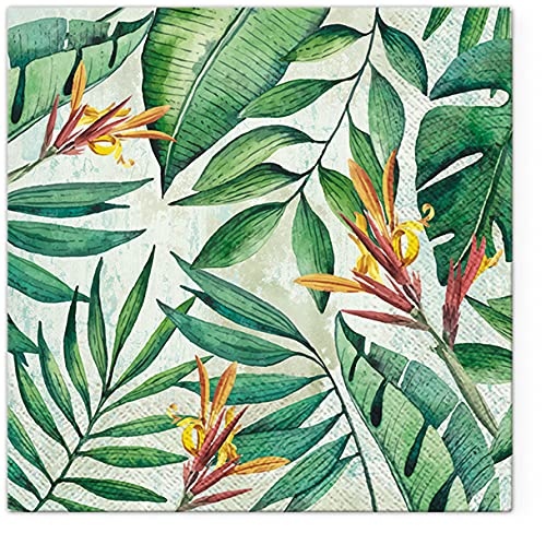 Lot de 20 serviettes Tropical Garden - Jungle exotique... - Jardin & Extérieur Amazon France à 2.68€