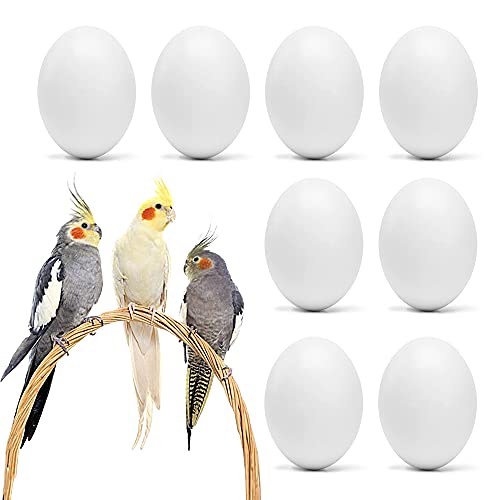 WOLEDOE 8 huevos falsos para pájaros, evita la puesta de... - Maison & Cuisine Amazon Espagne à 5.66€