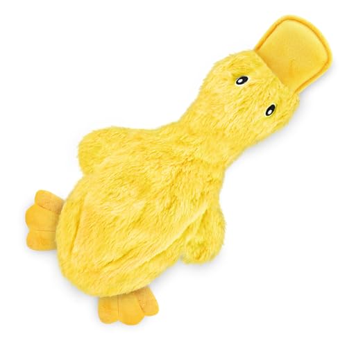 Best Pet Supplies Knistern-Hundespielzeug für kleine... - Toys & Games Amazon Germany à 9.24€