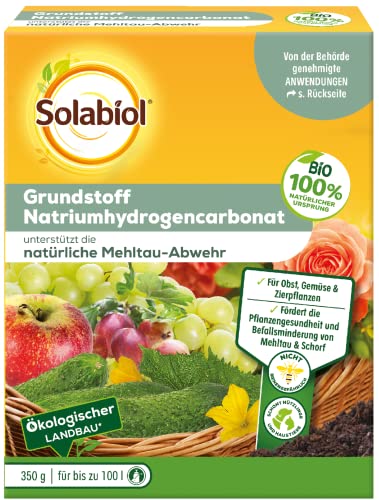 Solabiol Grundstoff Natriumhydrogencarbonat, natürliche... - Jardin & Extérieur Amazon Allemagne à 4.40€