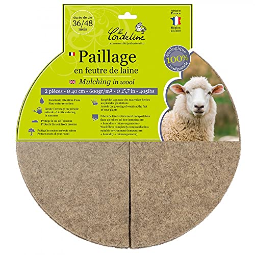 Centrale Brico Lot de 2 disques de paillage, 600 g/m²... - Bricolage & Outils Amazon France à 12.52€