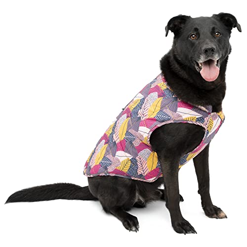 Kurgo Loft - Chaqueta de Invierno Reversible para Perros... - Amazon Espagne à 8.54€