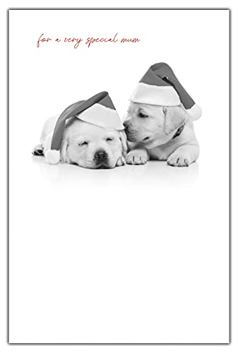 Emotional Rescue Tarjeta de Navidad para mamá, tarjeta de... - Livres & eBooks Amazon Espagne à 4.52€