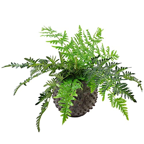 Leaf Design Realistic Artificial Fern Plant - Jardin & Extérieur Amazon Royaume-Uni à 18.99€
