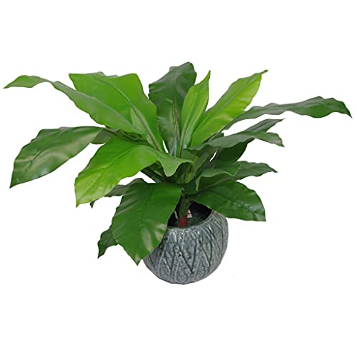 Leaf Plantes artificielles Tropicales, 60 cm - Jardin & Extérieur Amazon France à 19.64€