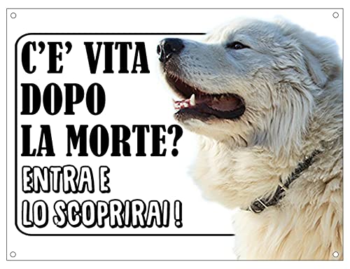 CARTELLO ATTENTI AL CANE - MAREMMANO c'è vita dopo la... - Fournitures Bureau en promo à 2.49€