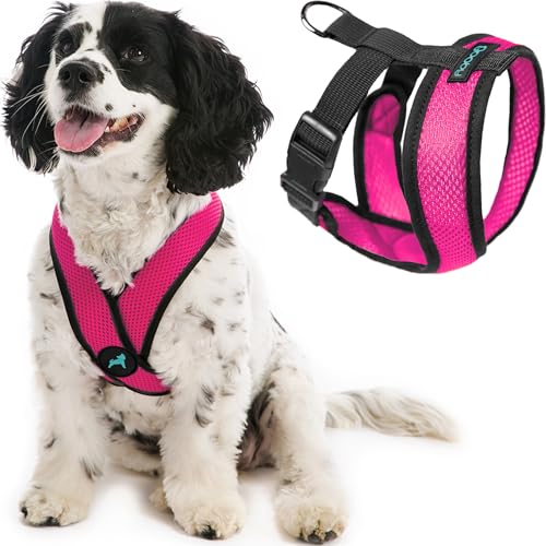 Gooby Comfort X Head In Harness - Flamingo Pink X-Large... - Pet Supplies Amazon UK à 6.53€