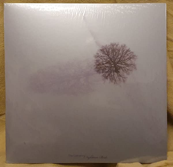 Nighttime Birds [Vinilo] - Musique & Instruments Amazon Espagne à 35.87€