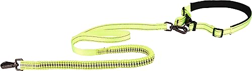 Flamingo Correa para Running + CINTURÓN con Correa DIRAN S... - Sports & Fitness Amazon Espagne à 24.99€
