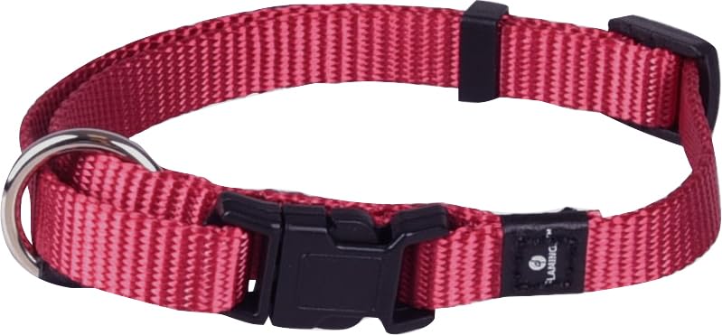 Flamingo Collare ZIGGI Rosso Ciliegia XS 20-35CM10MM - Pet Supplies Amazon Italy à 2.99€