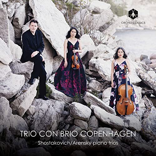 Shostakovich, Arensky: Piano Trios - Musique & Instruments Amazon Royaume-Uni à 5.11€