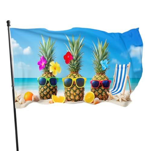IBILIU Cartoon-Ananas-Flagge, 90 x 150 cm, für draußen... - Jardin & Extérieur en promo à 1.99€