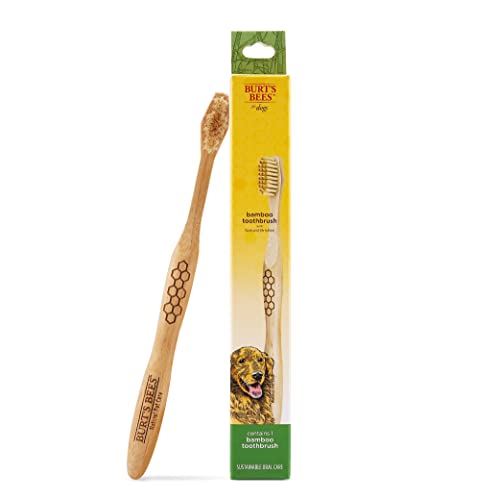 BURT'S BEES FOR PETS Bamboo Dog Toothbrush | Natural, Soft... - Beauté & Parfums Amazon Royaume-Uni à 3.91€
