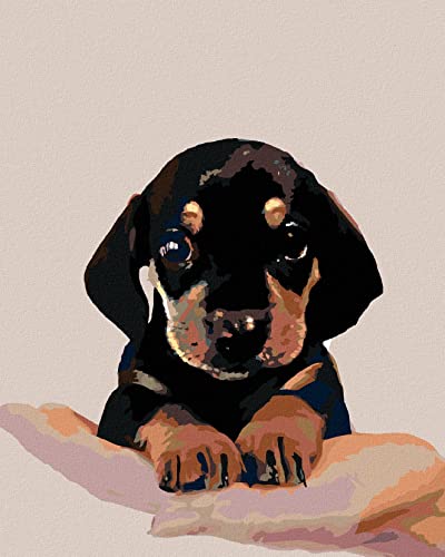 ZUTY- Pintura por números, Color Todos, Framed (315221) - High-Tech & Électronique Amazon Espagne à 26.49€