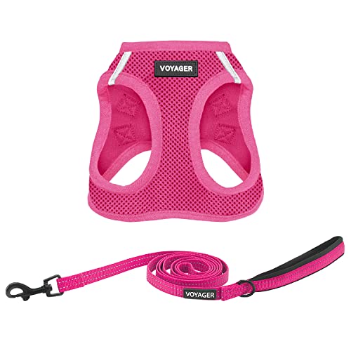 Voyager Step-in Air - Imbracatura in rete e guinzaglio... - Animalerie Amazon Italie à 10.48€