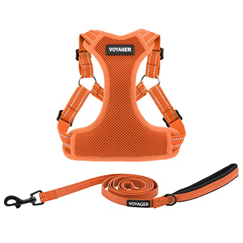 Best Pet Supplies Voyager Ensemble Harnais et Laisse en... - Animalerie Amazon France à 15.36€
