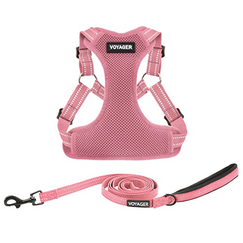 Best Pet Supplies Voyager Adjustable Dog Harness Leash Set... - Amazon Royaume-Uni à 8.33€