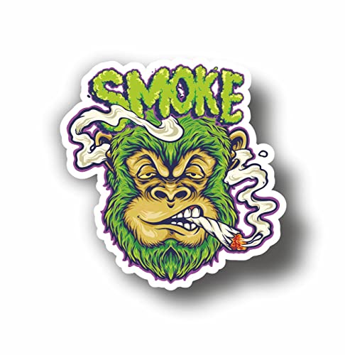AMA SHOP ADESIVO SAGOMATO GORILLA FUMA MARIJUANA IN PVC PER... - Auto & Moto Amazon Italie à 2.70€