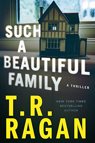 Such a Beautiful Family: A Thriller - Deal du jour à 0.99€