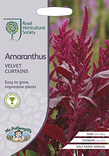 Mr Fothergill's - RHS Amaranthus Velvet Curtains, red - Maison & Cuisine en promo à 2.88€