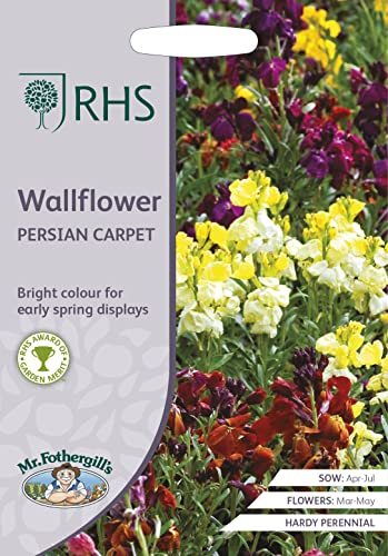 Mr Fothergill's - RHS WallFlower Persian Carpet - Maison & Cuisine Amazon Royaume-Uni à 2.58€