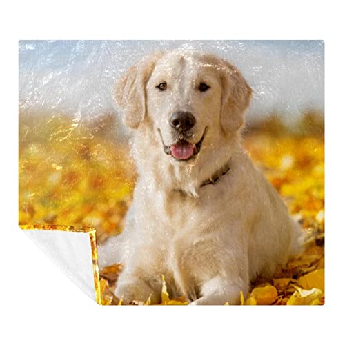 Levi's Soft and comfortable(150x200 cm/59x78.7... - Maison & Cuisine en promo à 12.80€