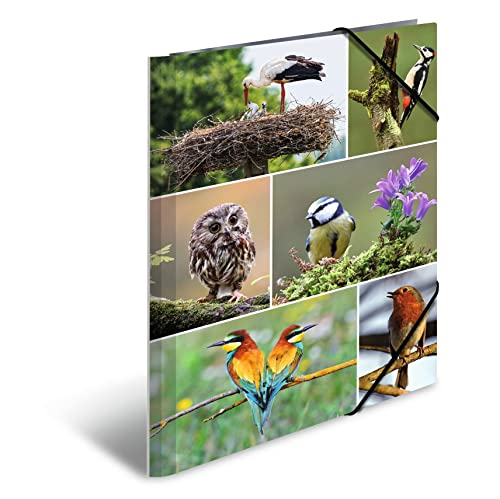 HERMA 19345 - Carpeta con diseño de animales y pájaros... - Animalerie Amazon Espagne à 3.47€