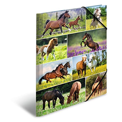 HERMA 19452 Lot de 3 chemises format A3 Animal Worlds Horse... - Jouets & Jeux Amazon France à 5.66€