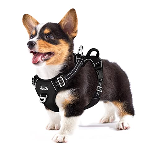 Eyein Harnais pour chien grand moyen, réglable... - Animalerie Amazon France à 13.85€