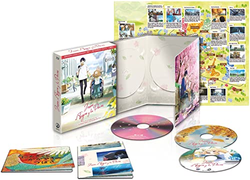 Josee, el Tigre y Los peces - (Edición Coleccionista) - BD - Bon plan à 7.37€