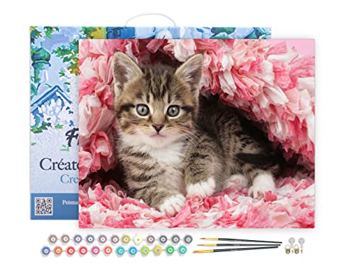 Figured'Art Peinture par Numéro Adulte avec Cadre Chaton... - Jouets & Jeux Amazon France à 15.40€