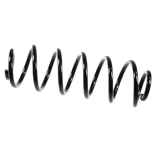 SKF VKDL 31132 - Juego de muelles de suspensión - Jouets & Jeux Amazon Espagne à 36.93€