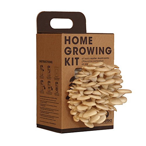 Kit Coltivazione Funghi a Casa – Coltiva Funghi Ostrica... - Bon plan à 25.90€