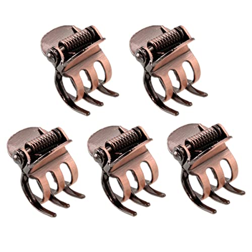cuhair cobre 5pcs metal mini garra del pelo para las... - High-Tech & Électronique Amazon Espagne à 2.00€