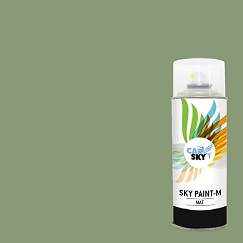 CARSKY Bombe de peinture RAL Vert Pâle 6021 finition mat... - Auto & Moto Amazon France à 14.99€