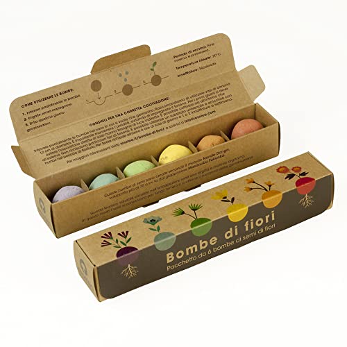 Set di 6 bombe di Fiori Resetea | Porta Colore e Vita in... - Amazon Italie à 19.90€