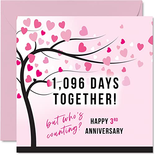 Funny Leather Anniversary Card for Wife or Husband - 1096... - High-Tech & Électronique Amazon Royaume-Uni à 2.31€