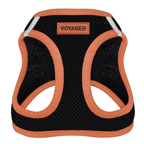 Best Pet Supplies Voyager Step-in Air – Harnais en Maille... en promo à 12,26€ (-51%) sur Amazon FR