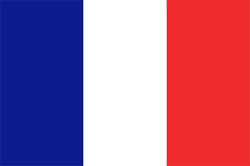 Adesivo BANDIERA FRANCESE tricolore FRANCIA (10x7 cm) - Loisirs Créatifs Amazon Italie à 0.79€