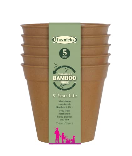 Haxnicks Sustainable Bamboo Fibre Plant Pot in Terracotta... - Jardin & Extérieur Amazon Royaume-Uni à 2.50€